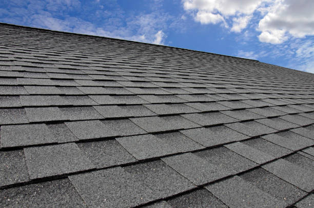 Best Asphalt Shingle Roofing  in Dover Plains, NY